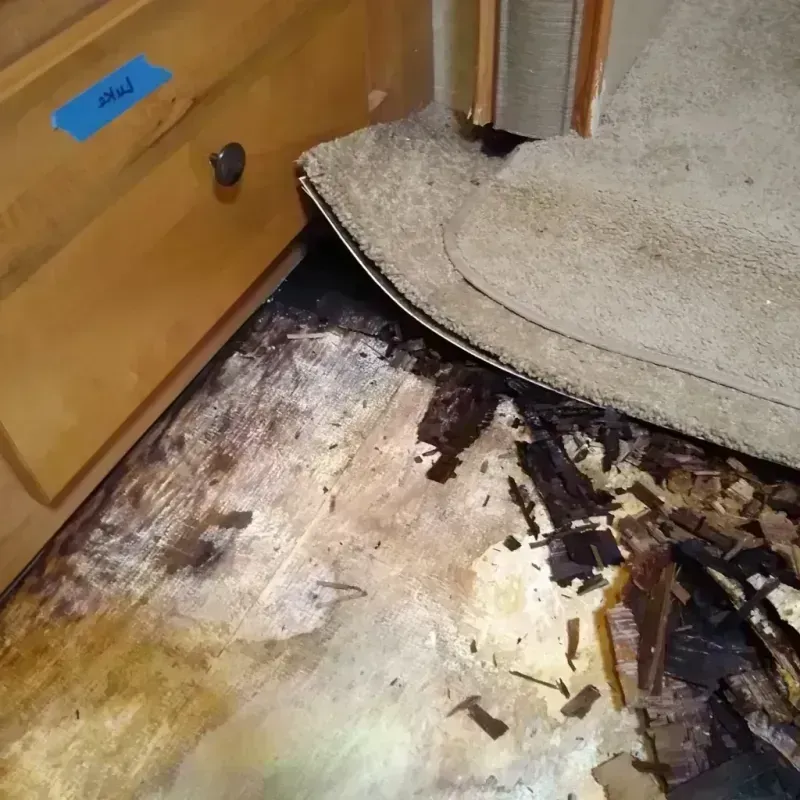 Best Wood Floor Water Damage Service in Guymon, OK